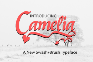 Camelia: A Designer’s Honest Review for Real Projects