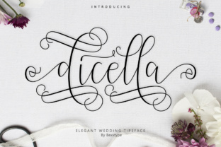Dicella: A Modern Script Typeface for Web Design
