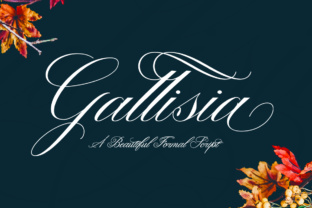 Gallisia Font: Elevating Web Design with Elegant Script