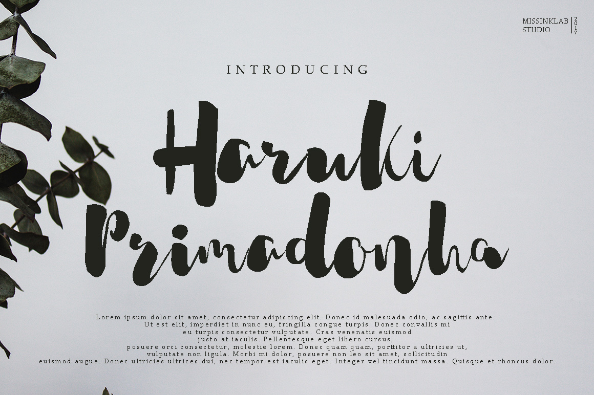 Haruki Primadonha: A Modern Script Font for Bold Brands