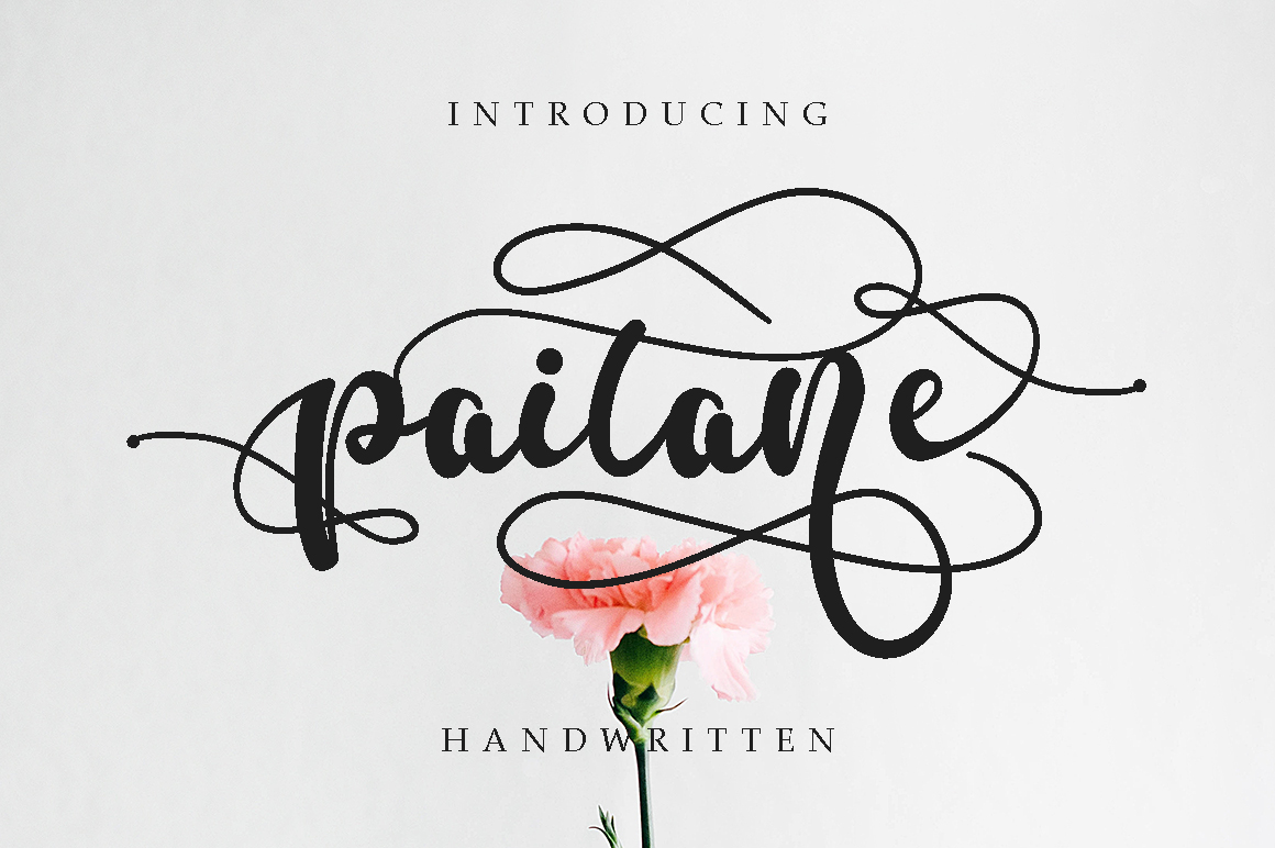 Paitane Font: Elevate Your Brand with Modern Script Typography