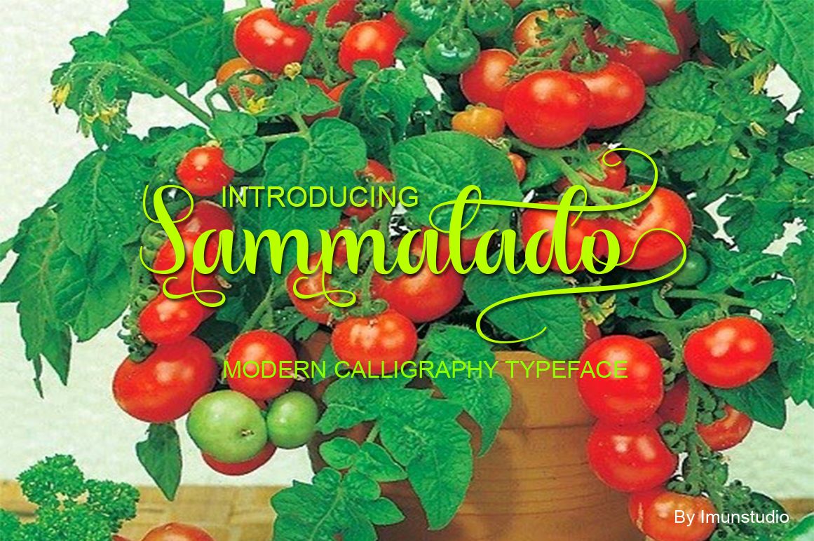 Sammalado: The Handwritten Font for Scroll-Stopping Design